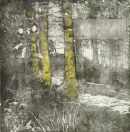 Dixons Hollow. On the Rise 04